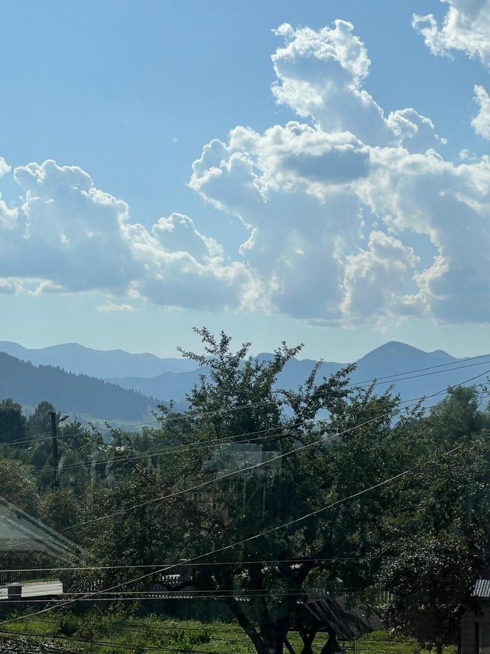 Domashnya Oselya Apartamento Verkhovyna Exterior foto