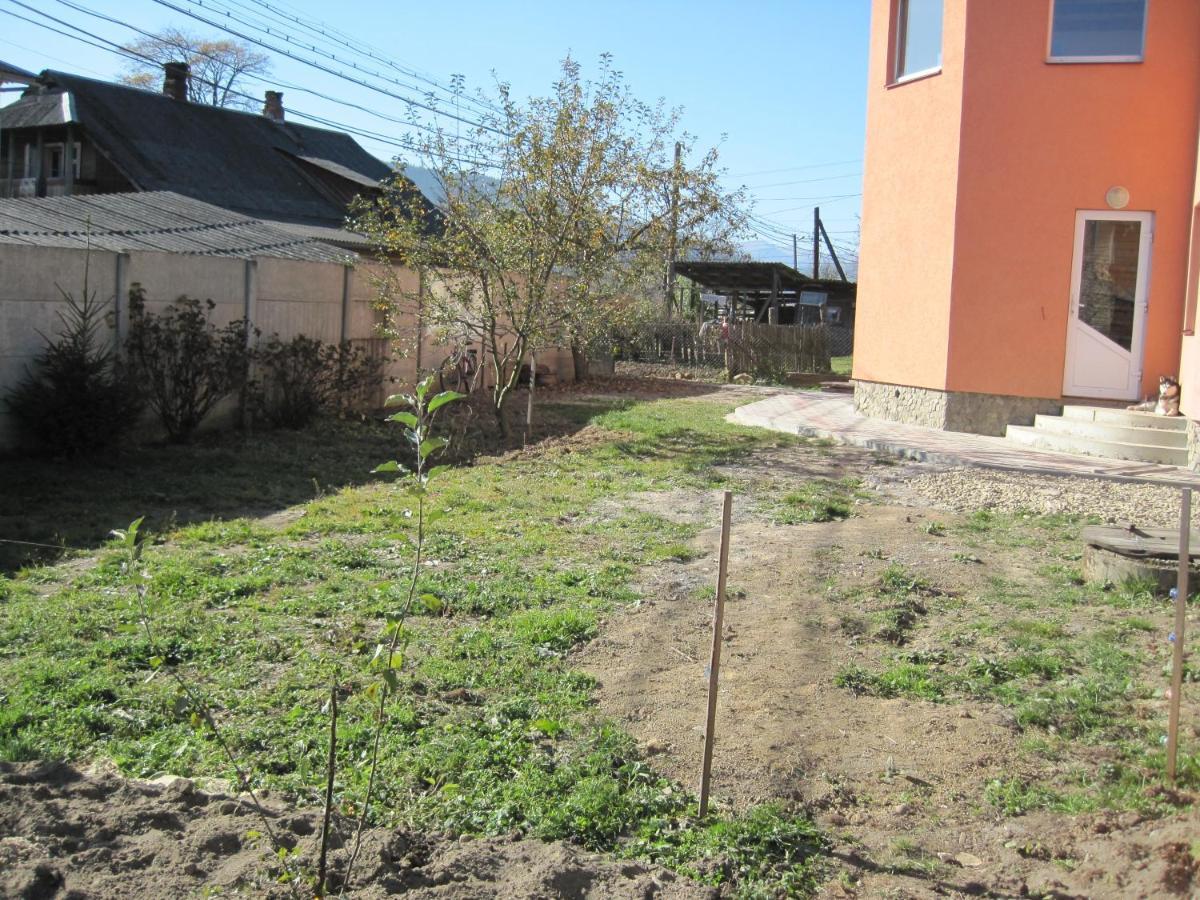 Domashnya Oselya Apartamento Verkhovyna Exterior foto